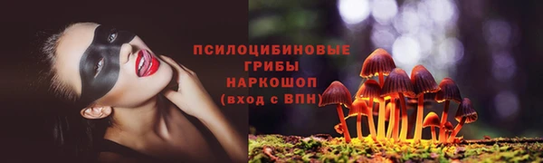 амф Алексеевка